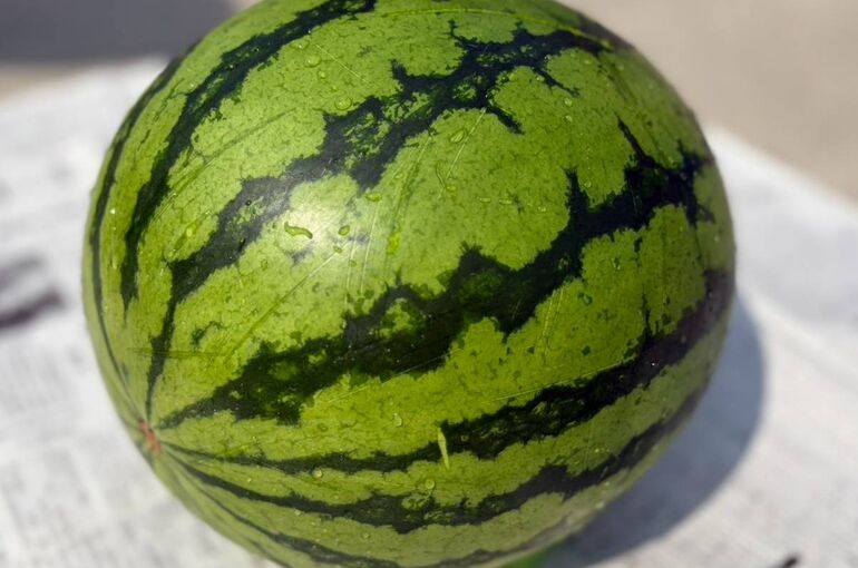 31154