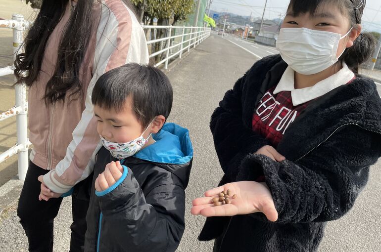 どんくり探し