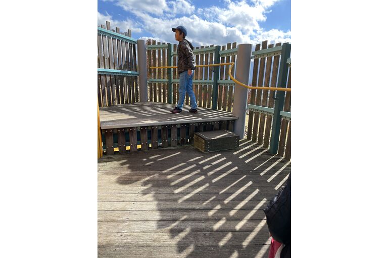 ハロウィンの森