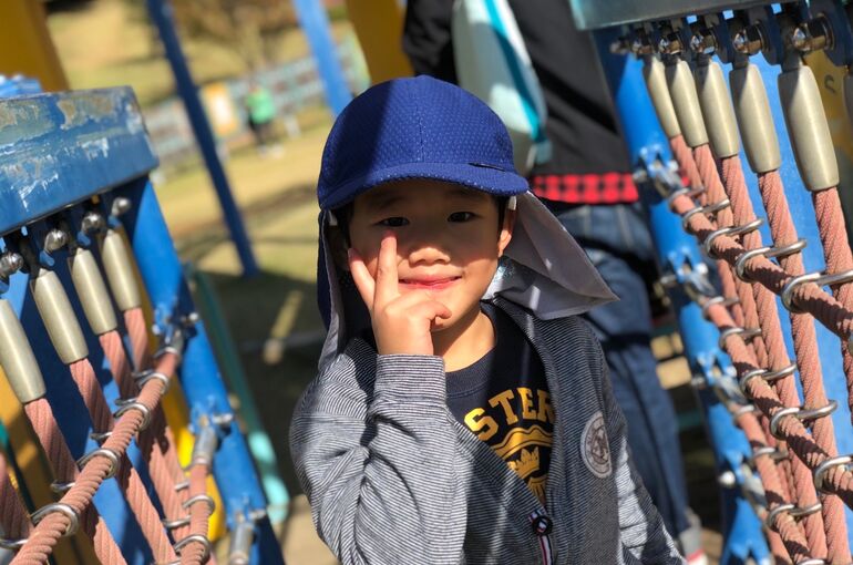 ハロウィンの森