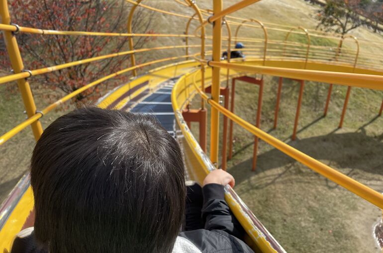 ハロウィンの森