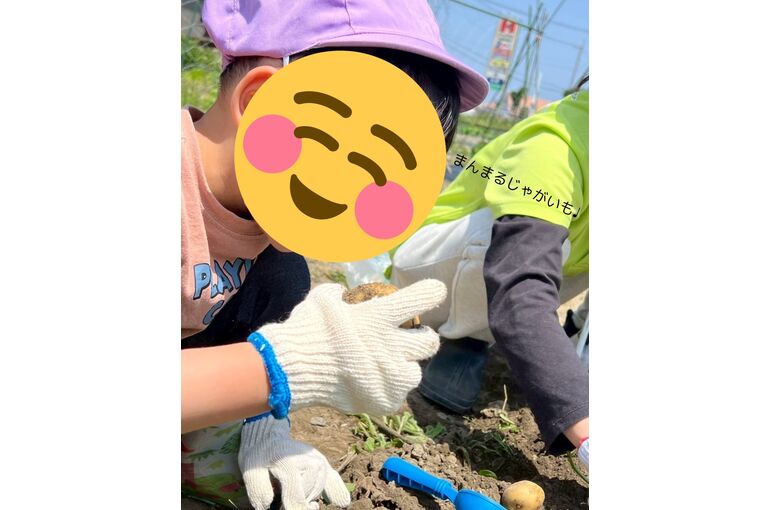 LINE_ALBUM_ブログ用_250612_7